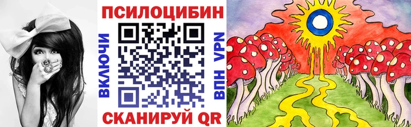 Купить  Новотитаровская  Псилоцибиновые грибы Cubensis 